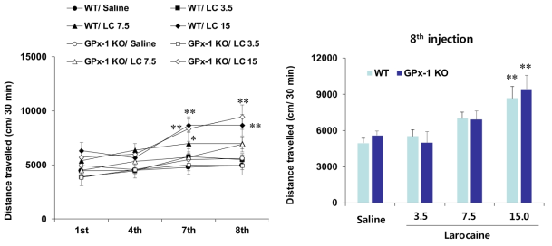 야생형 생쥐 (WT)와 GPx-1 유전자 결핍 생쥐에서 larocaine (LC)에 의한 행동민감화의 변화. KO = 유전자 결핍. 각 수치는 6 마리의 평균 ± 표준오차임. *P<0.05, **P<0.01 vs. Correspondine Saline (two-way or three-way ANOVA followed by PLSD test)