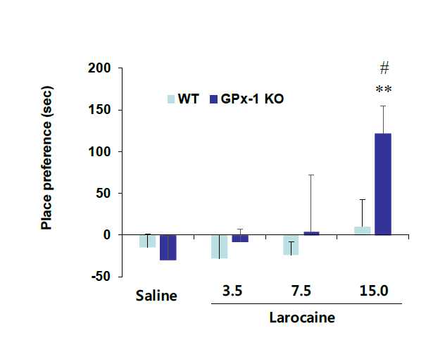 야생형 생쥐 (WT)와 GPx-1 유전자 결핍 생쥐에서 larocaine에 의한 조건장소선호도의 변화. KO = 유전자 결핍. 각 수치는 6 마리의 평균 ± 표준오차임. **P<0.01 vs. Corresponding Saline; #P<0.05 vs. Corresponding WT mice (two-way ANOVA followed by PLSD test)