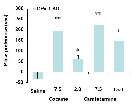 GPx-1 유전자 결핍 생쥐에서 camfetamine에 의한 조건장소선호도의 변화. KO = 유전자 결핍. 각 수치는 6마리의 평균 ± 표준오차임. *P<0.05, **P<0.01 vs. Saline (One-way ANOVA followed by PLSD test)