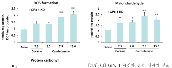 GPx-1 유전자 결핍 생쥐의 선조체에서 camfetamine에 의한 산화적 스트레스 지표의 변화. KO = 유전자 결핍. 각 수치는 6 마리의 평균 ± 표준오차임. *P<0.05, **P<0.01 vs. Saline (One-way ANOVA followed by PLSD test)