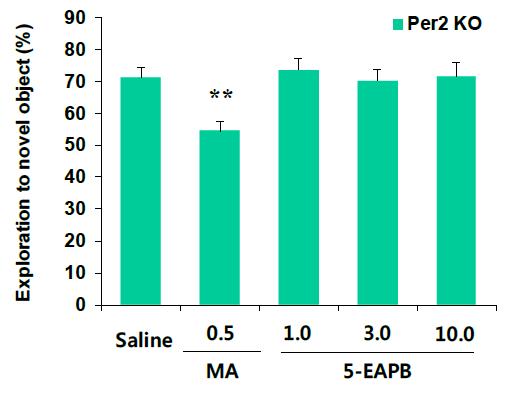 Per2 유전자 결핍 생쥐에서 5-EAPB에 의한 인지기억능의 변화. KO = 유전자 결핍. MA 0.5 = 메트암 페타민 0.5 mg/kg, i.p. 각 수치는 6마리의 평균 ± 표준오차임. *P<0.05 vs. Saline (One-way ANOVA followed by PLSD test)