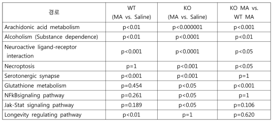 메트암페타민 투여 후 유의한 차이를 보이는 대표적인 경로들 (KEGG analysis)