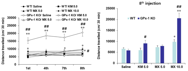 야생형 생쥐 (WT)와 GPx-1 유전자 결핍 생쥐 (GPx-1 KO)에서 methoxetamine (MX)에 의한 행동민감화의 변화. KM 5.0 = ketamine 5.0 mg/kg, i.p. 각 수치는 5-7 마리의 평균 ± 표준오차임. *P<0.05, **P<0.01 vs. Corresponding Saline; #P<0.05, ##P<0.01 vs. Corresponding WT (Two-way or three-way ANOVA followed by PLSD test)