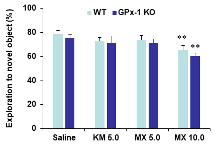 야생형 생쥐 (WT)와 GPx-1 유전자 결핍 생쥐 (GPx-1 KO)에서 methoxetamine (MX)에 의한 인지기억능의 변화. KM 5.0 = ketamine 5.0 mg/kg, i.p. 각 수치는 5-7 마리의 평균 ± 표준오차임. **P<0.01 vs. Corresponding Saline (Two-way ANOVA followed by PLSD test)