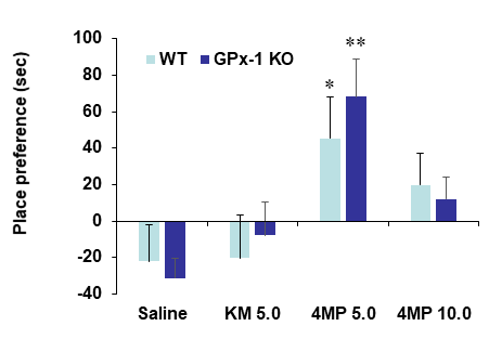 야생형 생쥐 (WT)와 GPx-1 유전자 결핍 생쥐 (GPx-1 KO)에서 4-MeO-PCP (4MP)에 의한 조건장소선호도의 변화. KM 5.0= ketamine 5.0 mg/kg, i.p. 각 수치는 5-7 마리의 평균 ± 표준오차임. *P<0.05, **P<0.01 vs. Corresponding Saline (Two-way ANOVA followed by PLSD test)