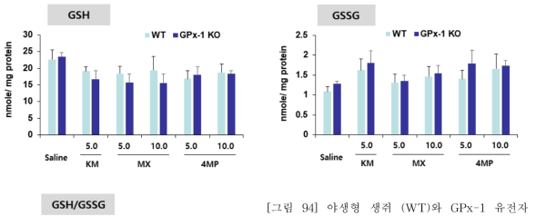 야생형 생쥐 (WT)와 GPx-1 유전자 야생형 생쥐 (WT)와 GPx-1 유전자 결핍 생쥐 (GPx-1 KO)에서 Methoxetamine (MX)과 4-MeO-PCP (4MP) 투여 후 선조복합체에서 GSH, GSSG 및 GSH/GSSG 비율의 변화. KM 5.0 = ketamine 5.0 mg/kg, i.p. 각 수치는 5-7 마리의 평균 ± 표준오차임. *P<0.05, **P<0.01 vs. Corresponding Saline; #P<0.05, ##P<0.01 vs. Corresponding WT (Two-way ANOVA followed by PLSD test)