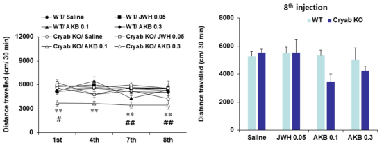 야생형 생쥐 (WT)와 Cryab 유전자 결핍 생쥐 (Cryab KO)에서 AKB48 (AKB)에 의한 행동민감화의 변화. JWH = JWH-018 0.05 mg/kg, i.p. 각 수치는 5-7 마리의 평균 ± 표준오차임. **P<0.01 vs. Corresponding Saline; #P<0.05, ##P<0.01 vs. Corresponding WT (Two-way or three-way ANOVA followed by PLSD test)