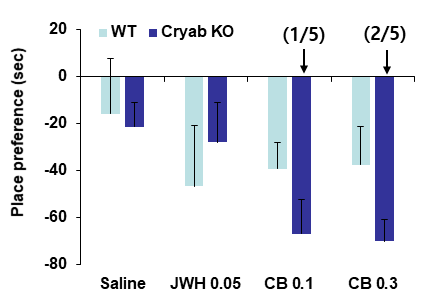야생형 생쥐 (WT)와 Cryab 유전자 결핍 생쥐 (Cryab KO)에서 CB13 (CB)에 의한 조건장소선호도의 변화. JWH = JWH-018 0.05 mg/kg, i.p. 각 수치는 3-7 마리의 평균 ± 표준오차임. 괄호 안의 숫자는 시험기간 중의 치사율임. Two-way ANOVA