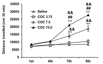 C57BL/6 마우스에서 코카인 (COC) 투여로 유도된 행동민감화. COC 3.75, 7.5, or 15.0 = 코카인 3.75, 7.5, or 15.0 mg/kg, i.p. 각 수치는 8-15마리의 평균 ± 표준오차임. **P<0.01 vs. Saline;  ##P<0.01 vs. COC 7.5 (Two-way or one-way ANOVA followed by PLSD test)