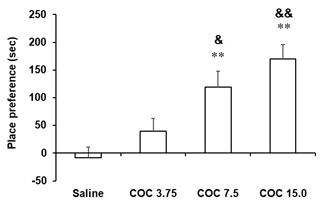 C57BL/6 마우스에서 코카인 (COC) 투여로 유도된 조건장소선호도. COC 3.75, 7.5, or 15.0 = 코카인 3.75, 7.5, or 15.0 mg/kg, i.p. 각 수치는 8-15마리의 평균 ± 표준 오차임. **P<0.01 vs. Saline; &P<0.05, &&P<0.01 vs. COC 3.75 (One-way ANOVA followed by PLSD test)