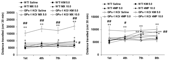 야생형 마우스(WT)와 GPx-1 유전자 결핍 마우스(GPx-1 KO)에서 ketamine(KM), methoxetamine(MX), 4-MeO-PCP(4MP) 투여 후 행동민감화 변화. KM 5.0 = ketamine 5.0 mg/kg, i.p. MX 5.0, MX 10.0 = methoxetamine 5.0, 10.0 mg/kg, i.p. 4MP 5.0, 4MP 10.0 = 4-MeO-PCP 5.0, 10.0 mg/kg, i.p. 각 수치는 5-7마리의 평균 ± 표준오차임. *P<0.05, **P<0.01 vs. Corresponding Saline; #P<0.05, ##P<0.01 vs. Corresponding WT mice (Three-way ANOVA followed by PLSD test)