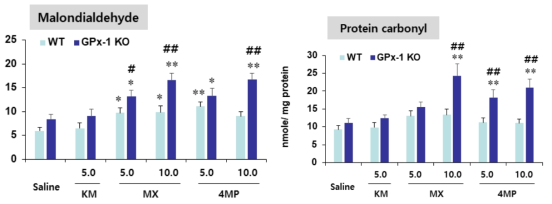 야생형 마우스(WT)와 GPx-1 유전자 결핍 마우스(GPx-1 KO)에서 ketamine(KM), methoxetamine(MX), 4-MeO-PCP(4MP) 투여 후 선조복합체에서 지질과산화와 단백질 산화의 변화. KM 5.0 = ketamine 5.0 mg/kg, i.p. MX 5.0, MX 10.0 = methoxetamine 5.0, 10.0 mg/kg, i.p. 4MP 5.0, 4MP 10.0 = 4-MeO-PCP 5.0, 10.0 mg/kg, i.p. 각 수치는 5-7마리의 평균 ± 표준오차임. *P<0.05, **P<0.01 vs. Corresponding Saline; #P<0.05, ##P<0.01 vs. Corresponding WT mice (Three-way ANOVA followed by PLSD test)