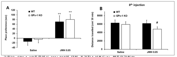 GPX-1 KO동물에서 JWH-018에 대한 조건장소선호도(A), 행동민감화(B)