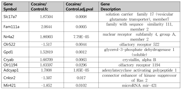 Cocaine 처리에 의한 유전자 변화