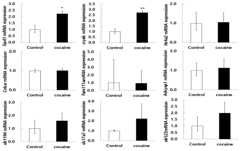 qRT-PCR results in the nucleus accumbens (NAc) of rat brain. The rats were injected with vehicle or 15mg/kg cocaine (5 day) and dissected. Each DNA expression was normalized to the relative amplification of GAPDH. Data are expressed as the mean ± S.E. of 8 animals per group. (n=4, student t-test *p<0.05, **p<0.01 vs control)