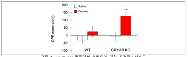 Cryab KO 동물에서 코카인에 대한 조건장소선호도
