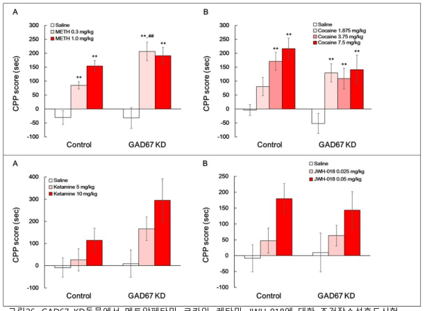 GAD67 KD동물에서 메트암페타민, 코카인, 케타민, JWH-018에 대한 조건장소선호도시험