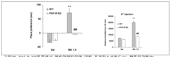 PAF-R KO동물에서 메트암페타민에 대한 조건장소선호도(A), 행동민감화(B)