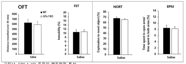 GPX-1 KO 동물의 행동학적 특성