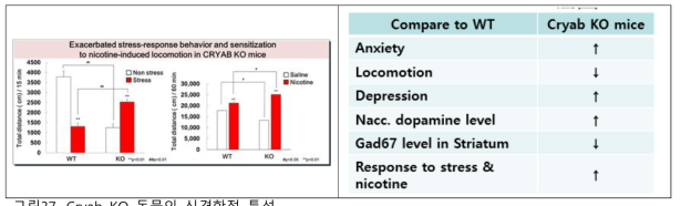 Cryab KO 동물의 신경학적 특성