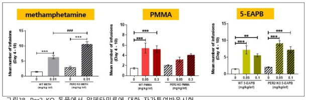 Per2 KO 동물에서 암페타민류에 대한 자가투여반응시험