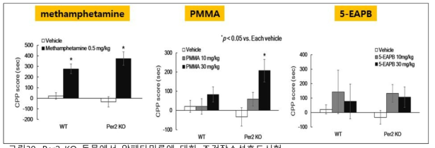 Per2 KO 동물에서 암페타민류에 대한 조건장소선호도시험