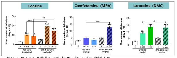 GPX-1 KO 동물에서 코카인류에 대한 자가투여반응시험