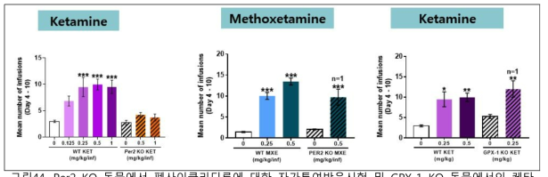Per2 KO 동물에서 펜사이클리딘류에 대한 자가투여반응시험 및 GPX-1 KO 동물에서의 케타민 시험