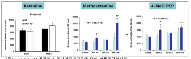 GPX-1 KO 동물에서 펜사이클리딘류에 대한 행동민감화시험