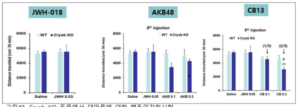 Cryab KO 동물에서 대마류에 대한 행동민감화시험