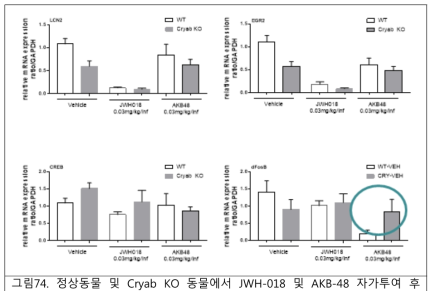 정상동물 및 Cryab KO 동물에서 JWH-018 및 AKB-48 자가투여 후 선조체에서의 생제지표 변화