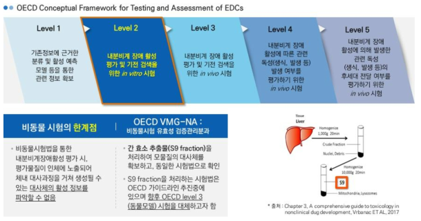 모물질 대사체의 내분비계장애활성 평가를 위한 S9 적용 OECD in vitro 전사활성시험법 추진