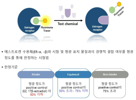 에스트로겐 수용체 결합 친화도 시험 원리 및 판정 기준