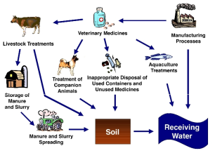 Route of veterinary drugs entering the environment, US Geological Survey