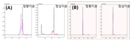 이동상 용매 종류에 따른 zipaterol LC/MS chromatogram 비교 (A) 0.1% formic acid/acetonitrile, (B) 0.1% formic acid/0.1% formic acid acetonitrile