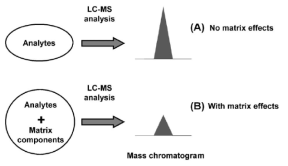 Matrix effect로 인한 분석 감도 저하 [Yakugaku zasshi (2011) 131: p1019]