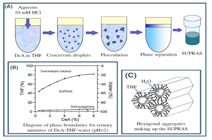 supramolecular solvent의 합성 및 구조 [Anal Bioanal Chem 407 (2015) 4721–4731]