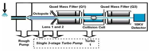 Triple quadrupole MS의 모식도