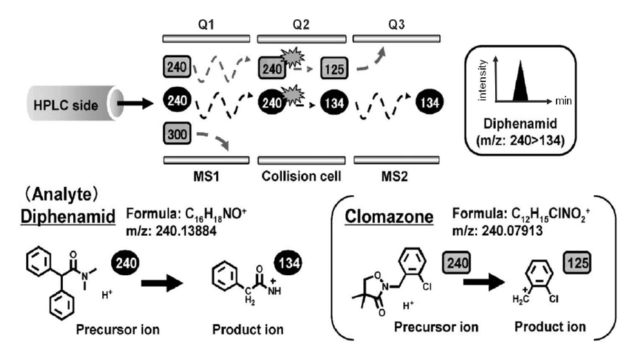MRM을 이용한 diphenamid (농약)의 검출 모식도 [Yakugaku zasshi (2011) 131: p1019]