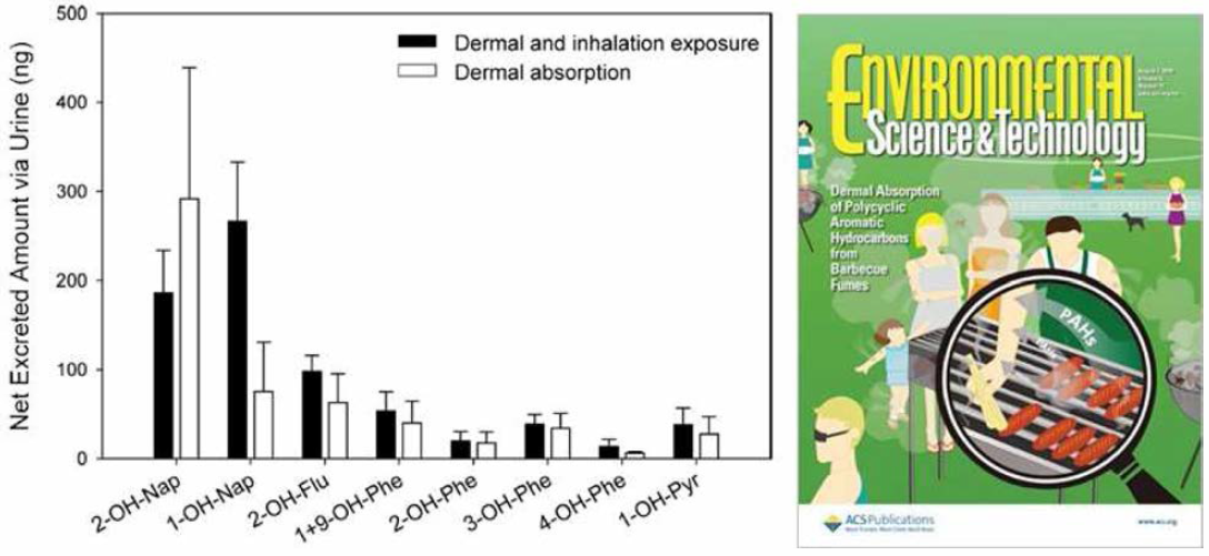 바비큐 조리 시의 PAHs의 흡입 및 경피 노출에 따른 대사체의 증가량(Lao et al.，2018)