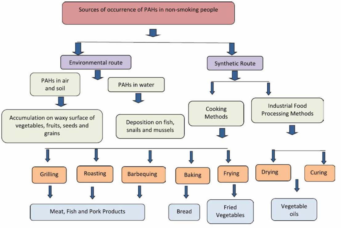 다양한 식품류의 PAHs 오염 경로 파악을 위한 단계도(Bansal and Kim, 2015)