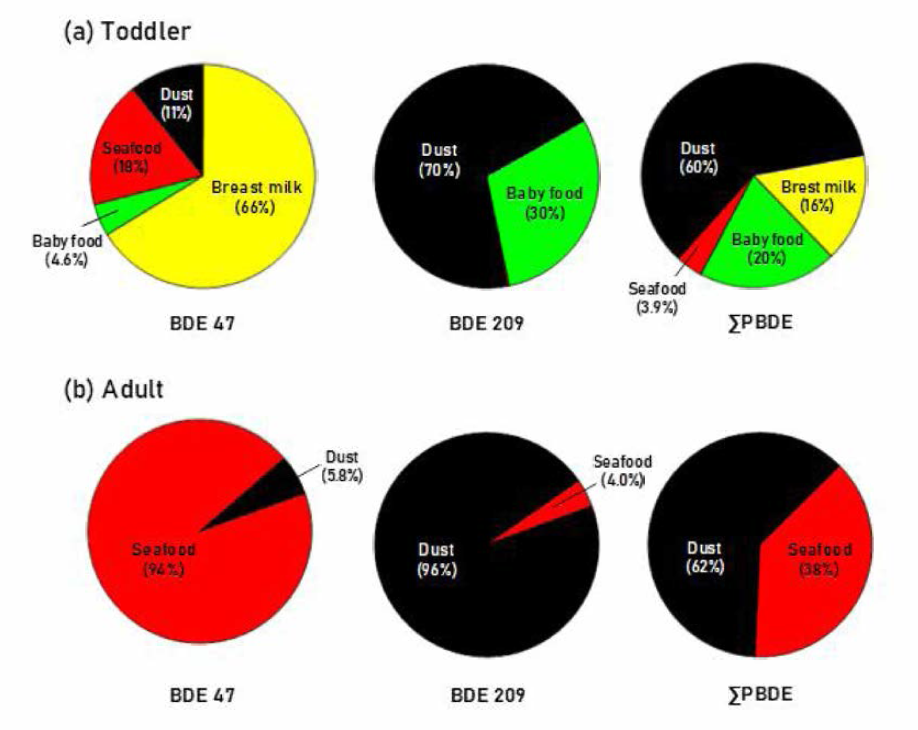 유아와 성인의 경로별 PBDEs 노출 기여율 예시(Lee et al.，2020)