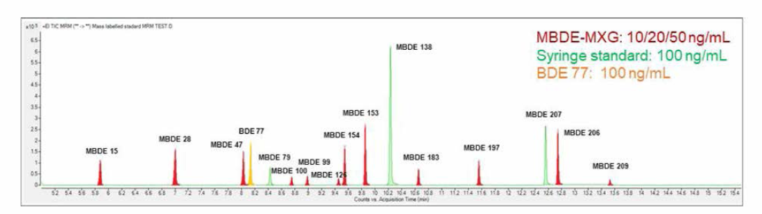 PBDEs 내부표준물질의 총 이온 크로마토그램(Total Ion Chromatogram, TIC)