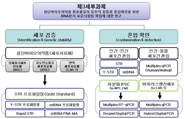 3세부 과제 연구내용 모식도