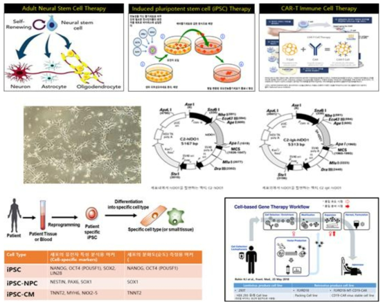 연구에 사용된 첨단바이오의약품 3종 (NSC, iPSC, CAR-T 세포치료제)