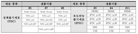 NSC 및 iPSC 세포