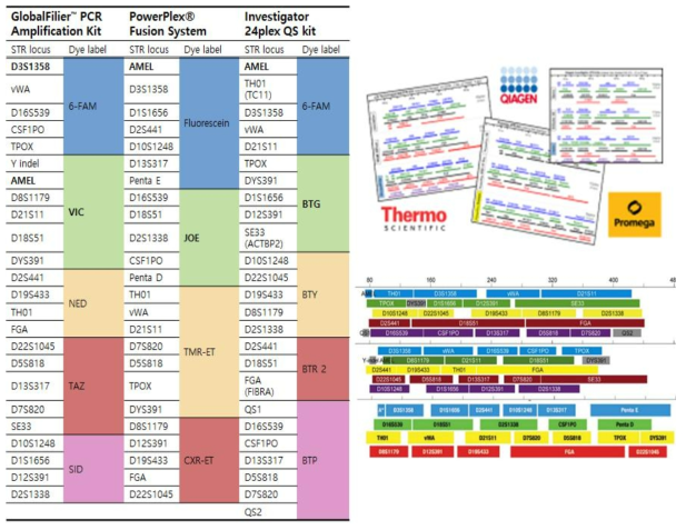대표적인 상용 STR 다중증폭키트(GlobalFiler, PowerPlex Fusion, Investigator 24-plex)