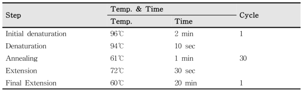 Thermal cycling program for Y-STR amplification