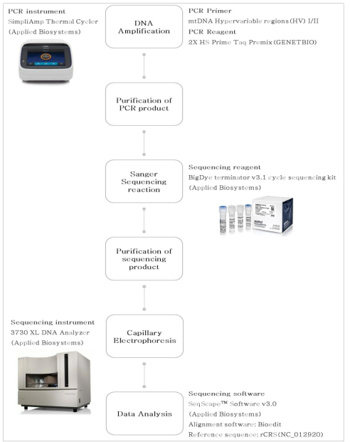 Schematic diagram of mtDNA profiling process 출처: Applied Biosystems 공식홈페이지