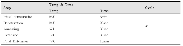 Thermal cycling program for amplification of mtDNA HV I/II